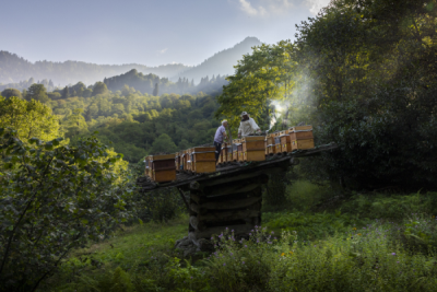 15. TARIM ORMAN VE İNSAN FOTOĞRAF YARIŞMASI - Caner BAŞER