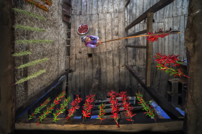 15. TARIM ORMAN VE İNSAN FOTOĞRAF YARIŞMASI - Caner BAŞER