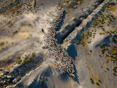 15. TARIM ORMAN VE İNSAN FOTOĞRAF YARIŞMASI - Durmuş CEYLAN