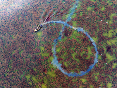 15. TARIM ORMAN VE İNSAN FOTOĞRAF YARIŞMASI - Ekrem ŞAHİN