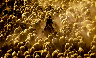 15. TARIM ORMAN VE İNSAN FOTOĞRAF YARIŞMASI - Emrullah AKGÜN