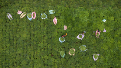 15. TARIM ORMAN VE İNSAN FOTOĞRAF YARIŞMASI - Esra KAPICIOĞLU