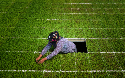 15. TARIM ORMAN VE İNSAN FOTOĞRAF YARIŞMASI - Gamze ÇAYKARA