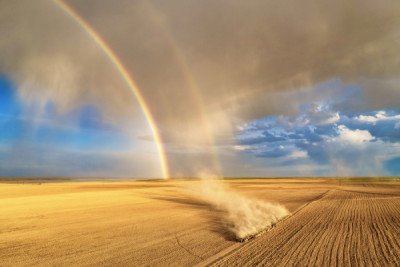 15. TARIM ORMAN VE İNSAN FOTOĞRAF YARIŞMASI - Gülin YİĞİTER