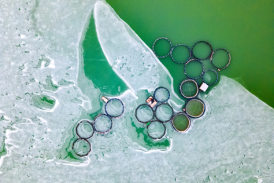 15. TARIM ORMAN VE İNSAN FOTOĞRAF YARIŞMASI - Gülin YİĞİTER