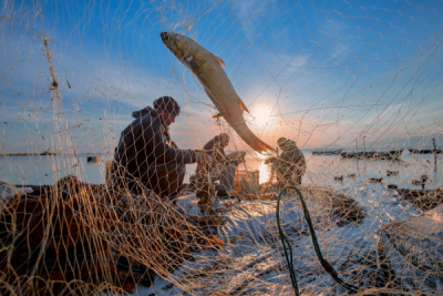 15. TARIM ORMAN VE İNSAN FOTOĞRAF YARIŞMASI - Gültekin KAYALAR