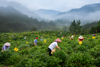 15. TARIM ORMAN VE İNSAN FOTOĞRAF YARIŞMASI - Guoquan HU