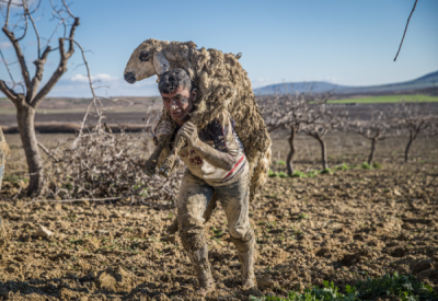 15. TARIM ORMAN VE İNSAN FOTOĞRAF YARIŞMASI - Halil FİDAN