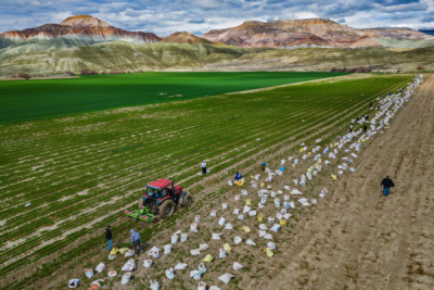 15. TARIM ORMAN VE İNSAN FOTOĞRAF YARIŞMASI - Hasan İÇEL