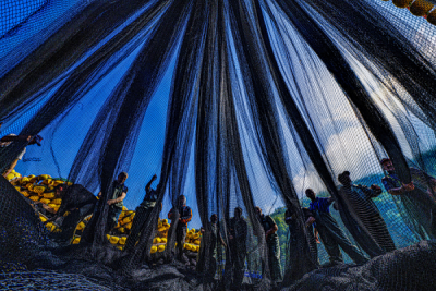 15. TARIM ORMAN VE İNSAN FOTOĞRAF YARIŞMASI - İlhan UZUNİSMAİL