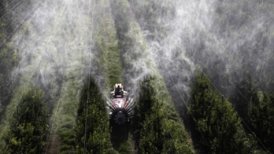 15. TARIM ORMAN VE İNSAN FOTOĞRAF YARIŞMASI - İlyas MALÇOK
