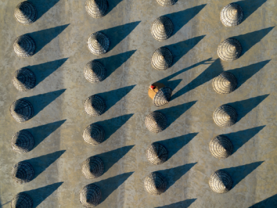 15. TARIM ORMAN VE İNSAN FOTOĞRAF YARIŞMASI - Joy SAHA