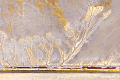 15. TARIM ORMAN VE İNSAN FOTOĞRAF YARIŞMASI - Kenan OLGUN