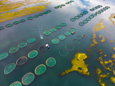 15. TARIM ORMAN VE İNSAN FOTOĞRAF YARIŞMASI - Kureyş GÖÇMEN