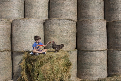 15. TARIM ORMAN VE İNSAN FOTOĞRAF YARIŞMASI - Levent ATEŞ