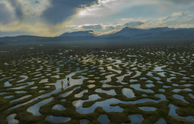 15. TARIM ORMAN VE İNSAN FOTOĞRAF YARIŞMASI - Levent ATEŞ