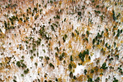 15. TARIM ORMAN VE İNSAN FOTOĞRAF YARIŞMASI - Merve ERGİN