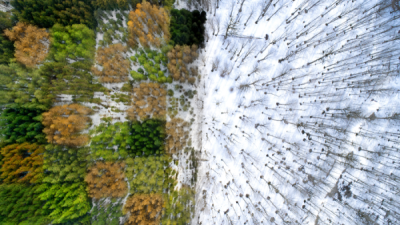 15. TARIM ORMAN VE İNSAN FOTOĞRAF YARIŞMASI - Mohammad Reza Masoumi