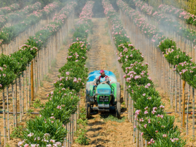 15. TARIM ORMAN VE İNSAN FOTOĞRAF YARIŞMASI - Murat BAKMAZ