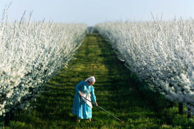 15. TARIM ORMAN VE İNSAN FOTOĞRAF YARIŞMASI - Murat BAKMAZ
