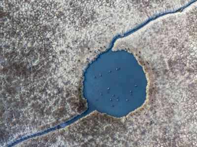 15. TARIM ORMAN VE İNSAN FOTOĞRAF YARIŞMASI - Mustafa KİRAZ