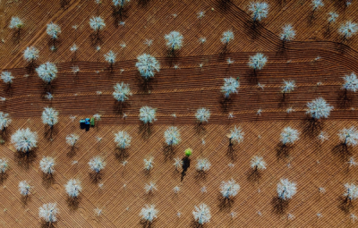 15. TARIM ORMAN VE İNSAN FOTOĞRAF YARIŞMASI - Bekir Can SAĞLAM