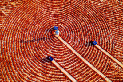 15. TARIM ORMAN VE İNSAN FOTOĞRAF YARIŞMASI - Osman MAAŞOĞLU