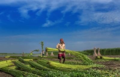 15. TARIM ORMAN VE İNSAN FOTOĞRAF YARIŞMASI - Priyankar Dattagupta