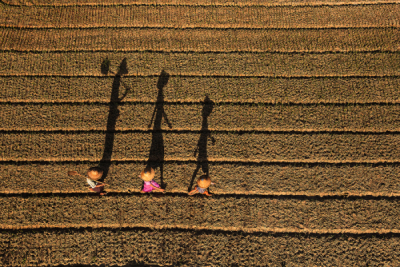 15. TARIM ORMAN VE İNSAN FOTOĞRAF YARIŞMASI - Pyaephyo THETPAING