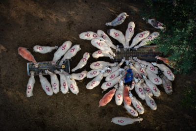 15. TARIM ORMAN VE İNSAN FOTOĞRAF YARIŞMASI - Said Nuri SARGIN