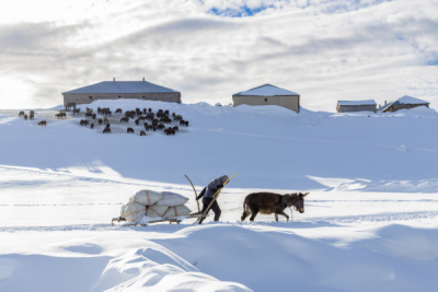 15. TARIM ORMAN VE İNSAN FOTOĞRAF YARIŞMASI - Serhat BÜRKE