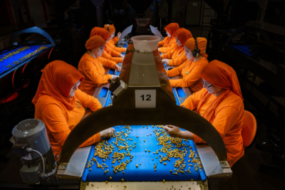 15. TARIM ORMAN VE İNSAN FOTOĞRAF YARIŞMASI - Sibel ALDEMİR