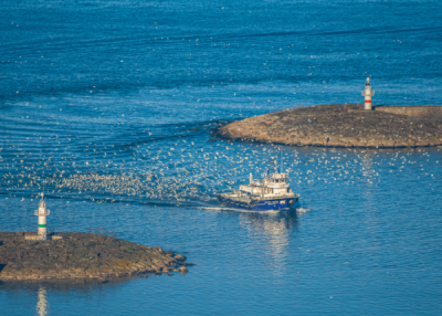 15. TARIM ORMAN VE İNSAN FOTOĞRAF YARIŞMASI - Sumral KOSER