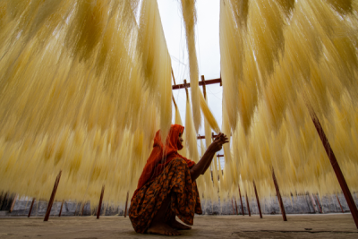 15. TARIM ORMAN VE İNSAN FOTOĞRAF YARIŞMASI - Tanvir AHMED