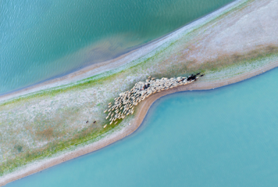 15. TARIM ORMAN VE İNSAN FOTOĞRAF YARIŞMASI - Durmuş CEYLAN