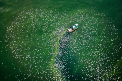 15. TARIM ORMAN VE İNSAN FOTOĞRAF YARIŞMASI - Hasan İÇEL