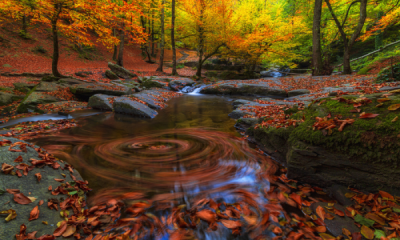 15. TARIM ORMAN VE İNSAN FOTOĞRAF YARIŞMASI - Selçuk HOT